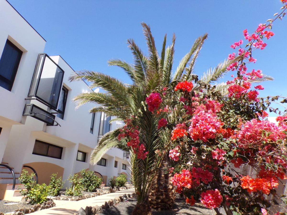 Amaya Ocean View Apartment Costa De Antigua Kültér fotó